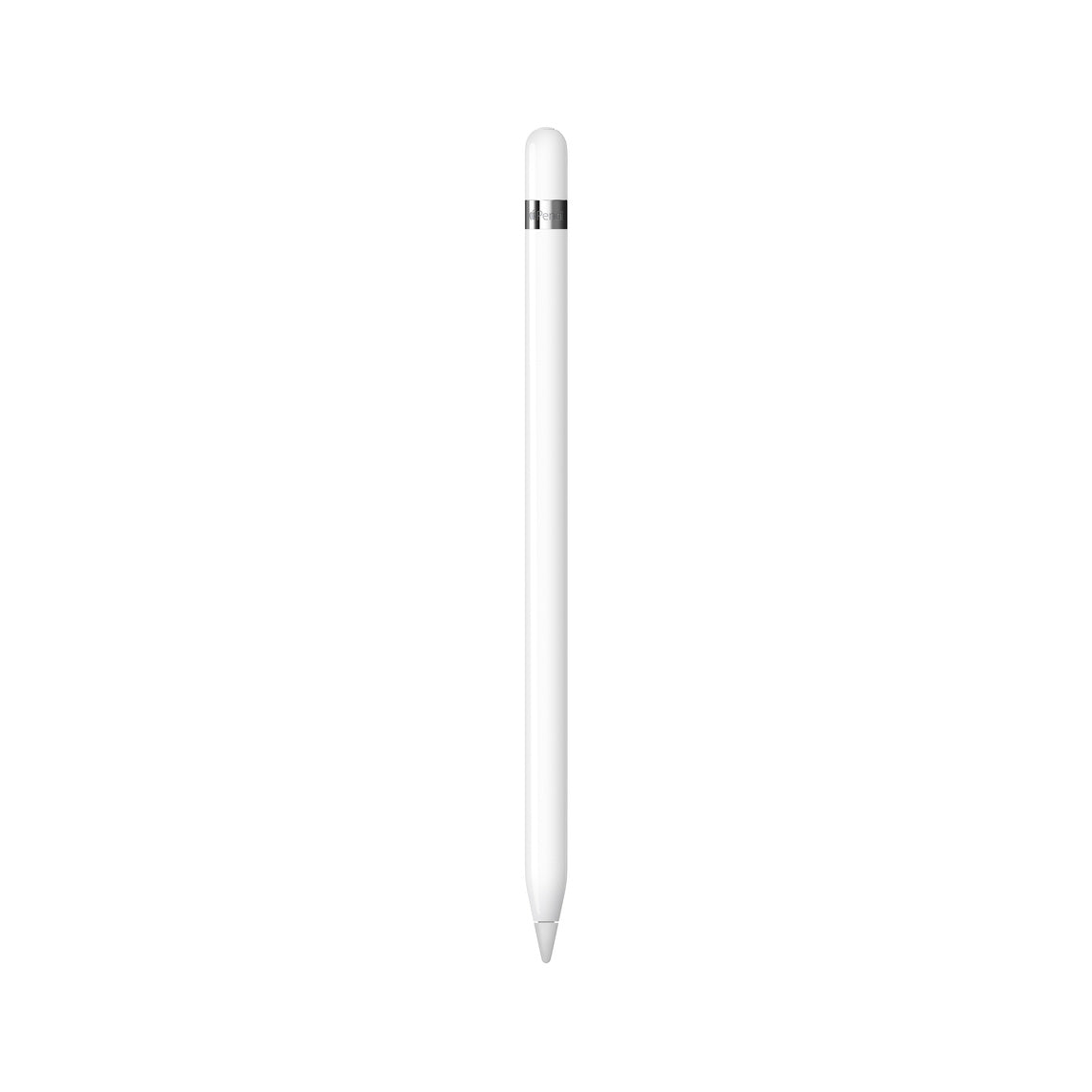 Apple Pencil (1st Generation with USB-C Adapter)