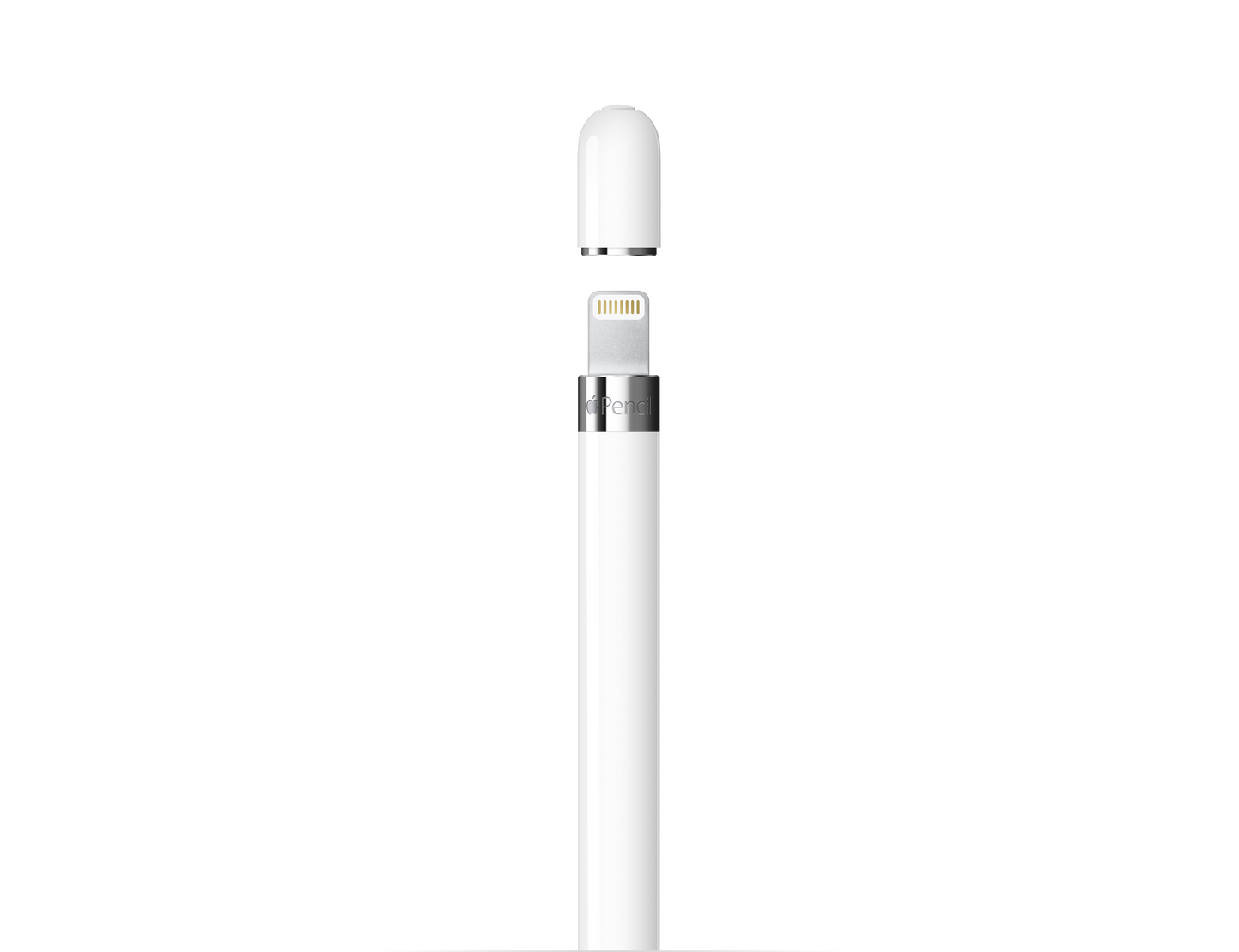 Apple Pencil (1st Generation with USB-C Adapter)